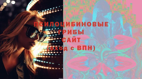 бошки Дмитриев