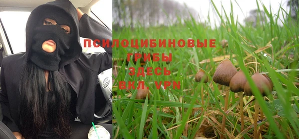прущий лед Дмитров