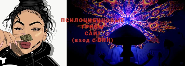 прущий лед Дмитров